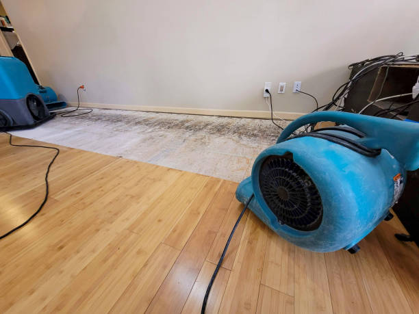 Professional Water Extraction technician working in East Hanover, NJ